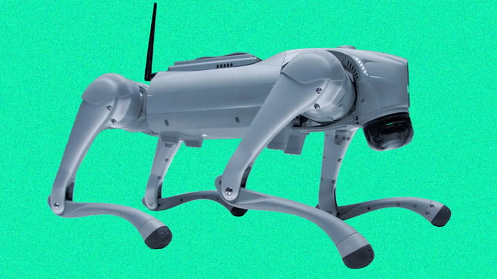 Neuronų lustai valdo keturkojį robotą laboratorijoje