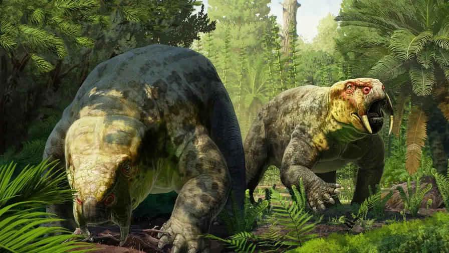 Muziejuje aptikta nauja Dinodontosaurus rūšis iš Tanzanijos