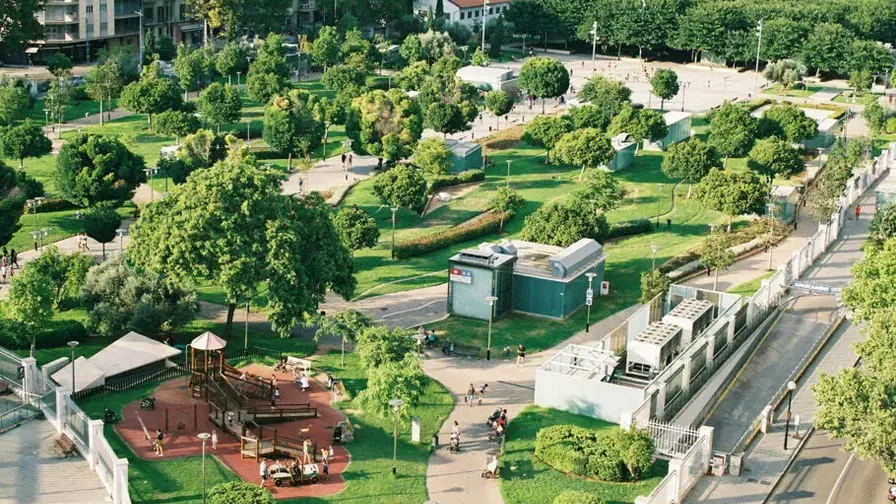 Žaluma aplink namus mažina silpnaprotystės riziką sveikatai