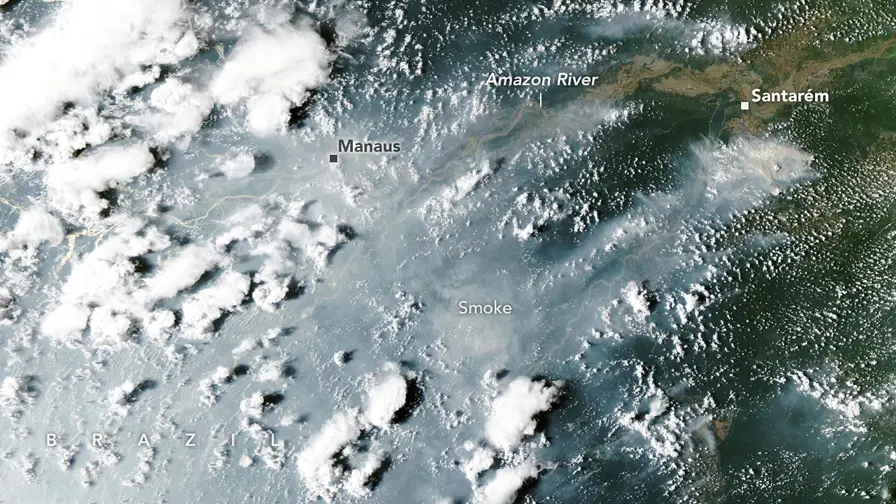 El Nino sukeltos miškų gaisrų bangos Amazonėje 2026 m.