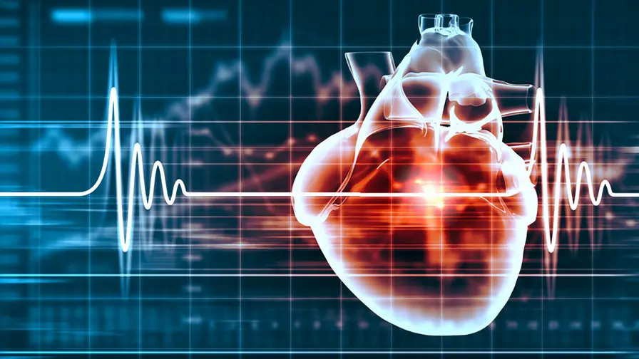 EKG ir dirbtinis intelektas: nenumatytų mirčių rizika