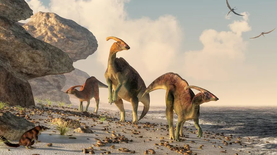 Pakrančių sandėliai: dinozaurai valgė išplautą jūros maistą